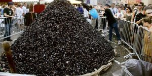 photo d'un tas de moules lors d'une braderie à Lille